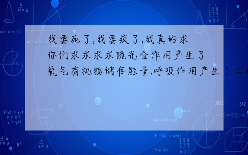 我要死了,我要疯了,我真的求你们求求求求跪光合作用产生了氧气有机物储存能量,呼吸作用产生了二氧化碳,水,分解释放能量.那么请问是呼吸作用释放的氧气吗?释放的时候还会放出二氧化碳