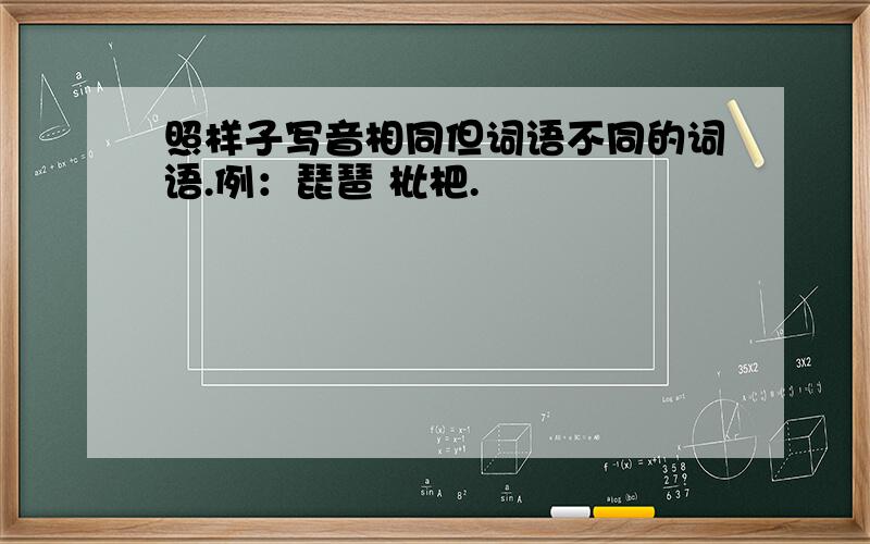 照样子写音相同但词语不同的词语.例：琵琶 枇杷.