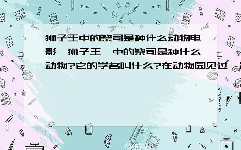 狮子王中的祭司是种什么动物电影《狮子王》中的祭司是种什么动物?它的学名叫什么?在动物园见过一次来着,名字比较特殊,忘了,只记得是灵长类动物,和狒狒差不多,比狒狒体型大,脸上像化