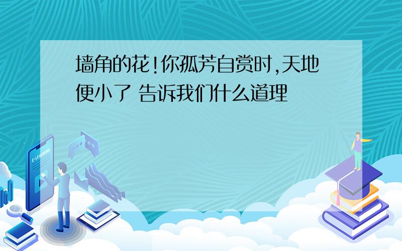 墙角的花!你孤芳自赏时,天地便小了 告诉我们什么道理