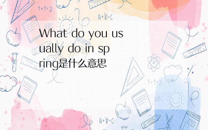 What do you usually do in spring是什么意思