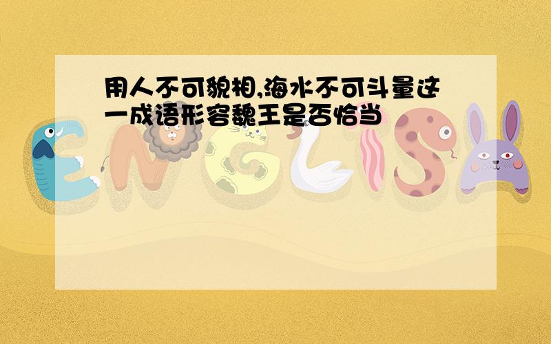 用人不可貌相,海水不可斗量这一成语形容魏王是否恰当