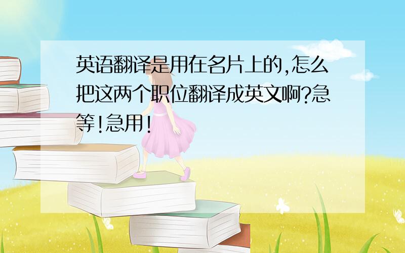 英语翻译是用在名片上的,怎么把这两个职位翻译成英文啊?急等!急用!