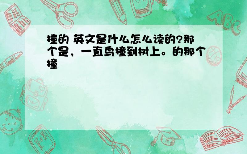 撞的 英文是什么怎么读的?那个是，一直鸟撞到树上。的那个撞