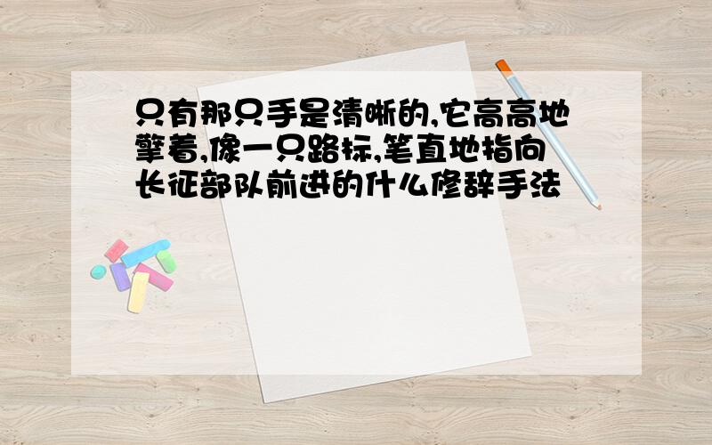 只有那只手是清晰的,它高高地擎着,像一只路标,笔直地指向长征部队前进的什么修辞手法