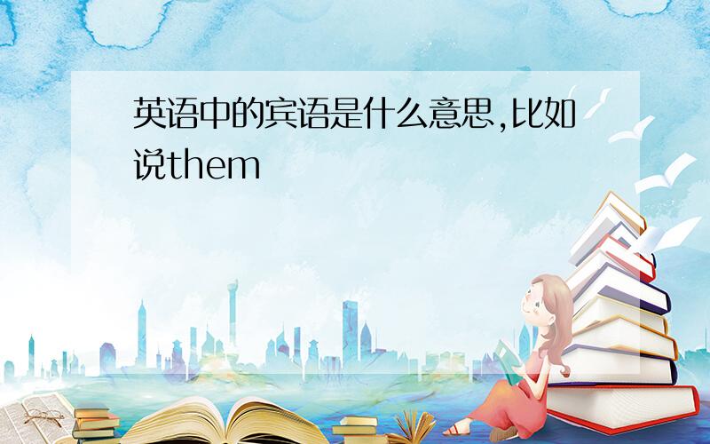 英语中的宾语是什么意思,比如说them