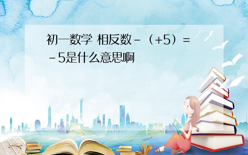 初一数学 相反数-（+5）=-5是什么意思啊