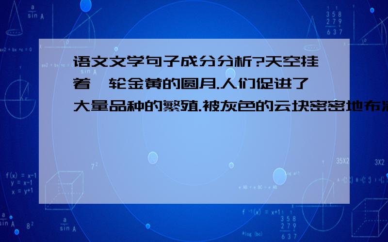 语文文学句子成分分析?天空挂着一轮金黄的圆月.人们促进了大量品种的繁殖.被灰色的云块密密地布满了天空.分析这三句的句子成分.