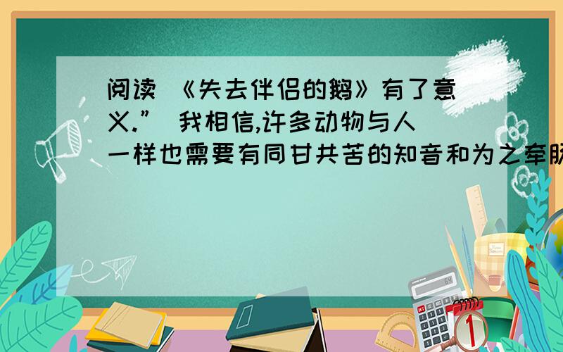 阅读 《失去伴侣的鹅》有了意义.” 我相信,许多动物与人一样也需要有同甘共苦的知音和为之牵肠挂肚的伴侣,也会因为痛失它们而伤心欲绝 肝肠寸断.那只公鹅是把保险杠上自己的映像当成