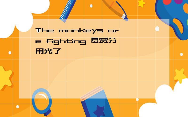 The monkeys are fighting 悬赏分用光了