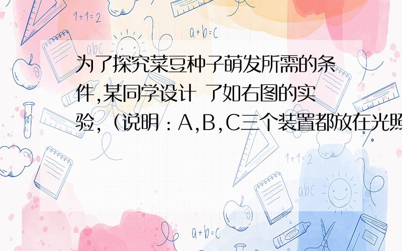 为了探究菜豆种子萌发所需的条件,某同学设计 了如右图的实验,（说明：A,B,C三个装置都放在光照条件下（1）菜豆种子萌发时先吸收水分,＿＿＿＿＿＿中的营养物质转 运给胚根、胚芽和胚