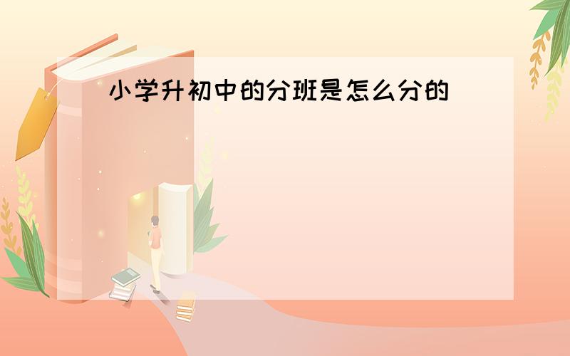 小学升初中的分班是怎么分的