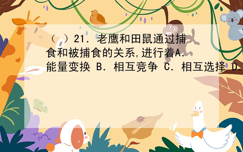 （ ）21．老鹰和田鼠通过捕食和被捕食的关系,进行着A．能量变换 B．相互竞争 C．相互选择 D．共同进化