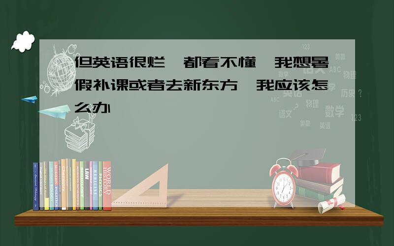 但英语很烂,都看不懂,我想暑假补课或者去新东方,我应该怎么办