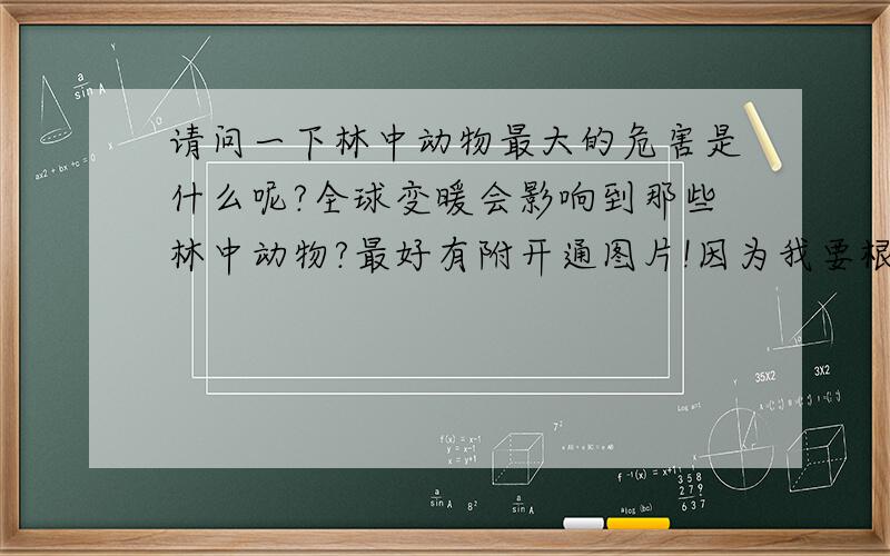 请问一下林中动物最大的危害是什么呢?全球变暖会影响到那些林中动物?最好有附开通图片!因为我要根据这个题材画画参加比赛的!