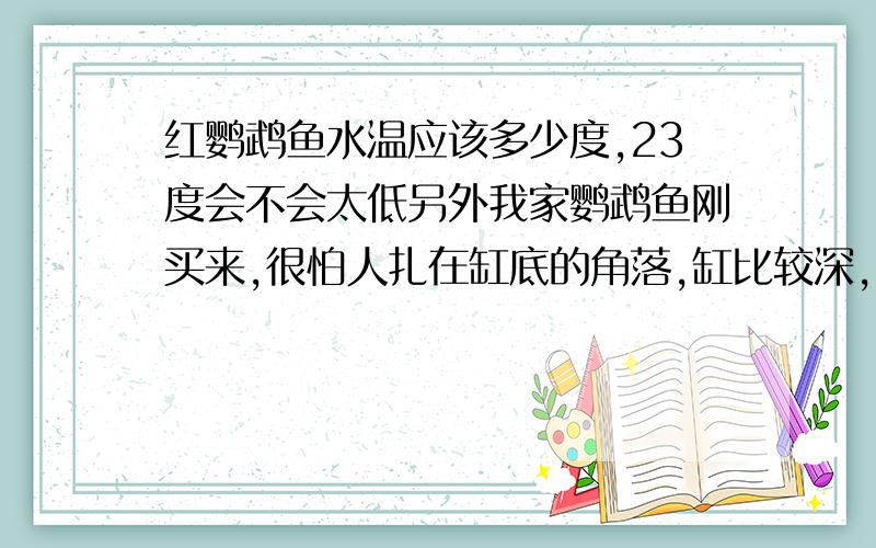 红鹦鹉鱼水温应该多少度,23度会不会太低另外我家鹦鹉鱼刚买来,很怕人扎在缸底的角落,缸比较深,喂的饲料都飘在缸最上面,一会就化没了,它们也不敢上来吃,怕时间长了不吃食会饿死,怎么办