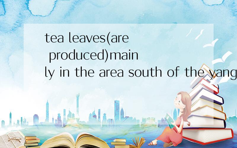 tea leaves(are produced)mainly in the area south of the yangtze river为什么不能用are made