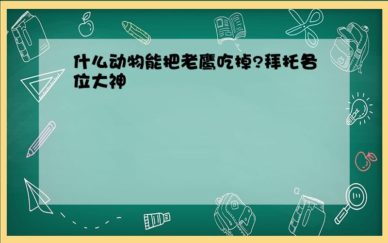 什么动物能把老鹰吃掉?拜托各位大神