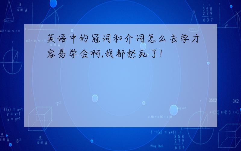 英语中的冠词和介词怎么去学才容易学会啊,我都愁死了!