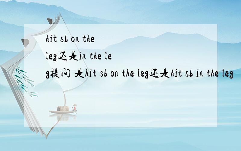 hit sb on the leg还是in the leg提问 是hit sb on the leg还是hit sb in the leg