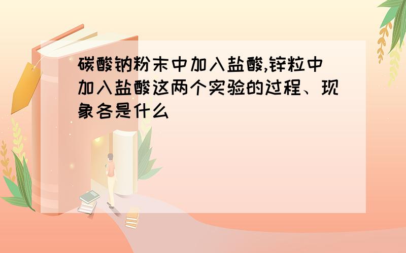 碳酸钠粉末中加入盐酸,锌粒中加入盐酸这两个实验的过程、现象各是什么