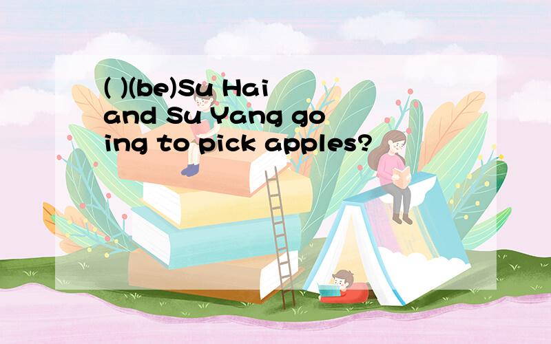 ( )(be)Su Hai and Su Yang going to pick apples?