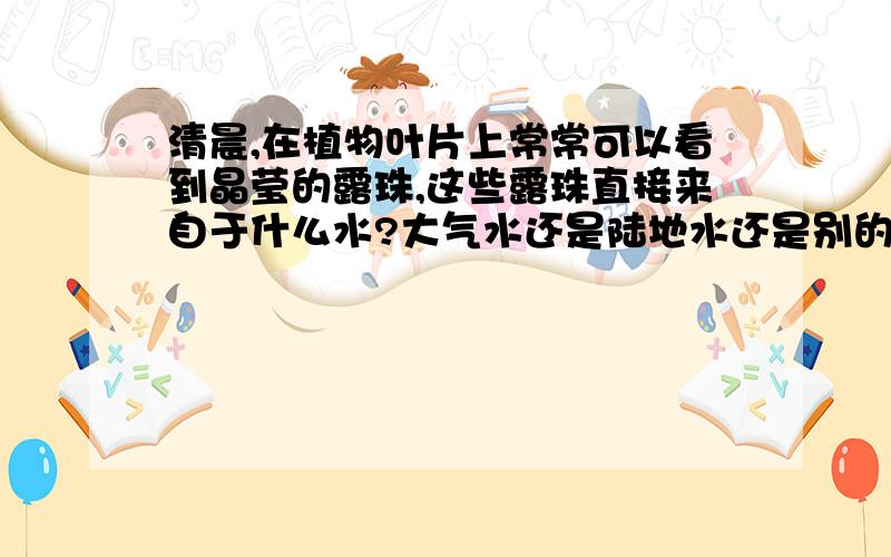 清晨,在植物叶片上常常可以看到晶莹的露珠,这些露珠直接来自于什么水?大气水还是陆地水还是别的?