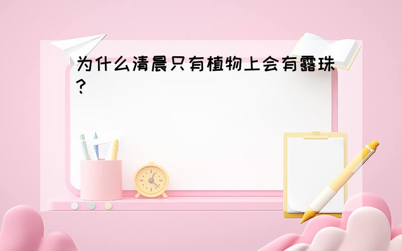 为什么清晨只有植物上会有露珠?