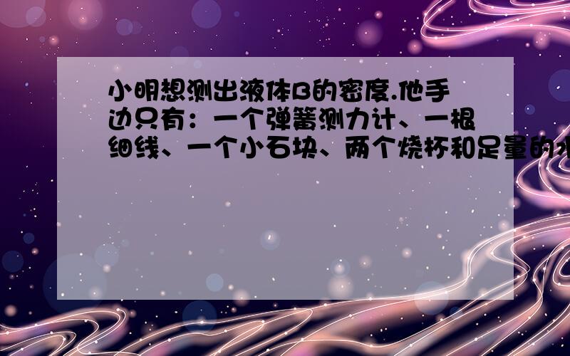 小明想测出液体B的密度.他手边只有：一个弹簧测力计、一根细线、一个小石块、两个烧杯和足量的水.小明根（1）用细线系住小石块、将适量的水与液体B分别倒入两个烧杯中；（2） ；（3