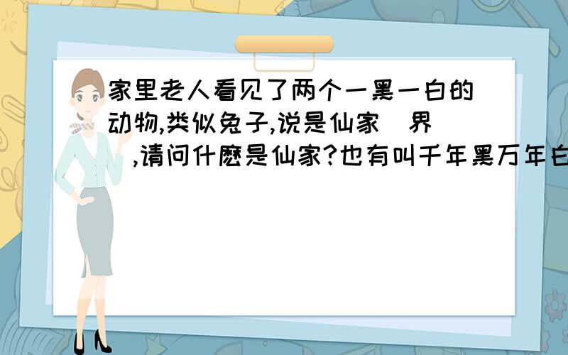 家里老人看见了两个一黑一白的动物,类似兔子,说是仙家（界）,请问什麽是仙家?也有叫千年黑万年白的