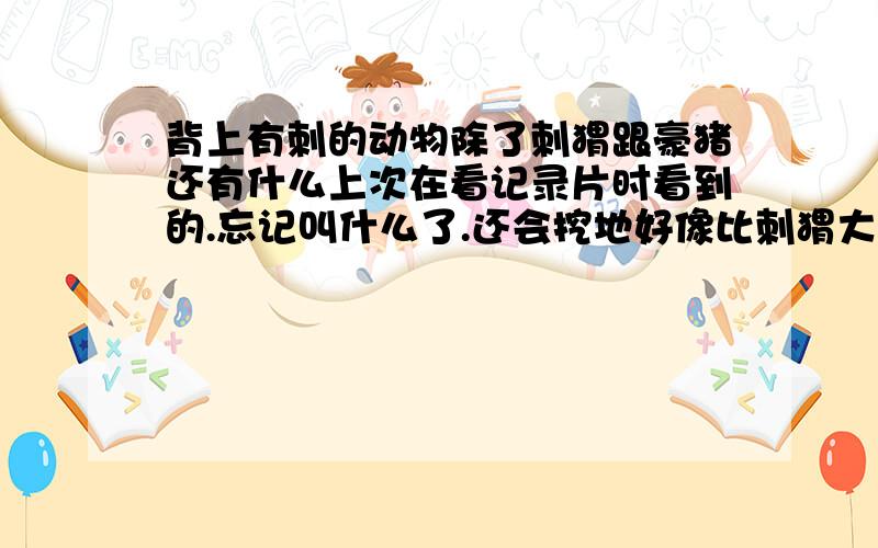 背上有刺的动物除了刺猬跟豪猪还有什么上次在看记录片时看到的.忘记叫什么了.还会挖地好像比刺猬大比野猪小些.