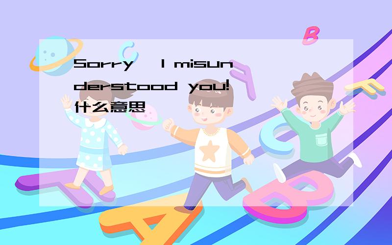 Sorry, I misunderstood you!,什么意思