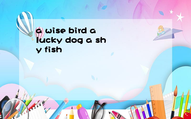 a wise bird a lucky dog a shy fish