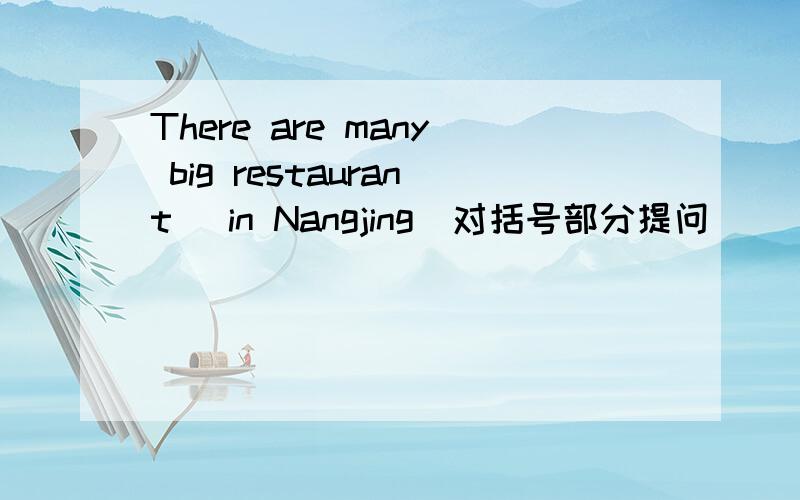 There are many big restaurant (in Nangjing)对括号部分提问