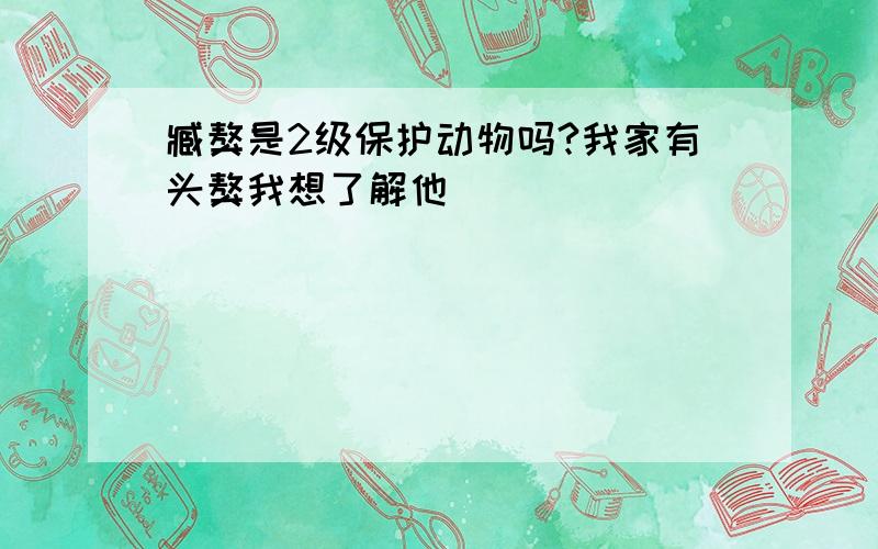 臧獒是2级保护动物吗?我家有头獒我想了解他