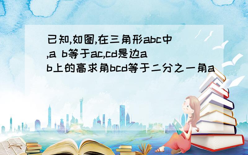 已知,如图,在三角形abc中,a b等于ac,cd是边ab上的高求角bcd等于二分之一角a