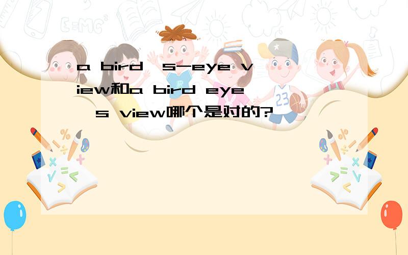 a bird's-eye view和a bird eye's view哪个是对的?