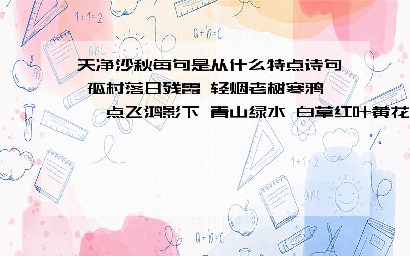 天净沙秋每句是从什么特点诗句 孤村落日残霞 轻烟老树寒鸦 一点飞鸿影下 青山绿水 白草红叶黄花 赏析要求 每句诗的特点【从什么方面来写】诗人表达的感情 急!