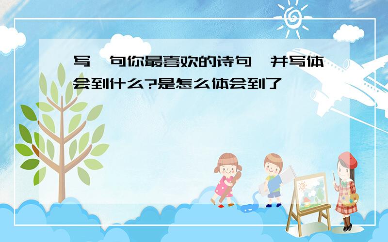 写一句你最喜欢的诗句,并写体会到什么?是怎么体会到了