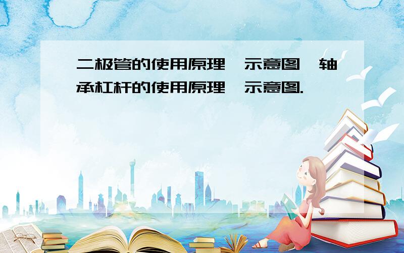 二极管的使用原理,示意图,轴承杠杆的使用原理,示意图.