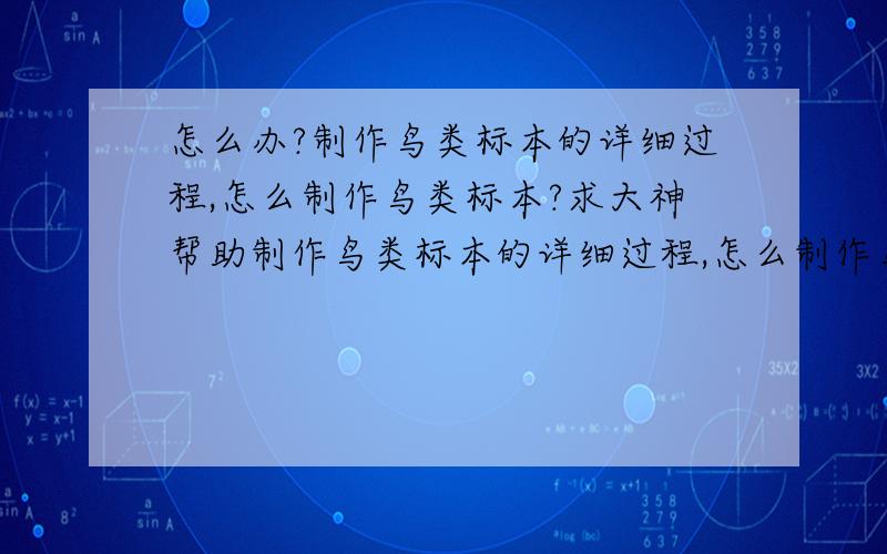 怎么办?制作鸟类标本的详细过程,怎么制作鸟类标本?求大神帮助制作鸟类标本的详细过程,怎么制作鸟类标本（很急）