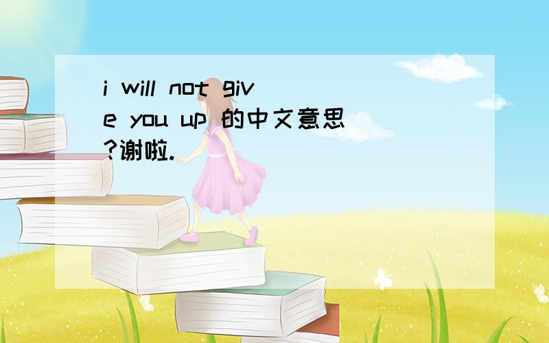 i will not give you up 的中文意思?谢啦.