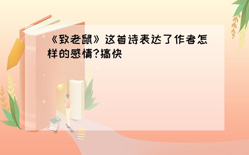 《致老鼠》这首诗表达了作者怎样的感情?搞快