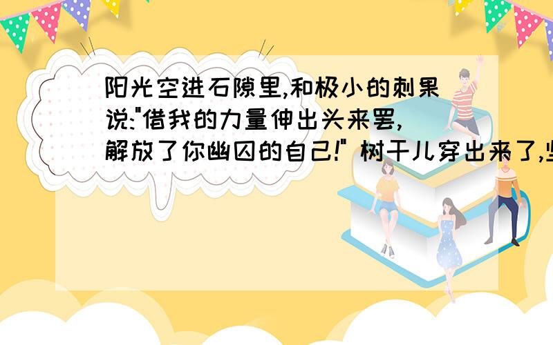 阳光空进石隙里,和极小的刺果说: