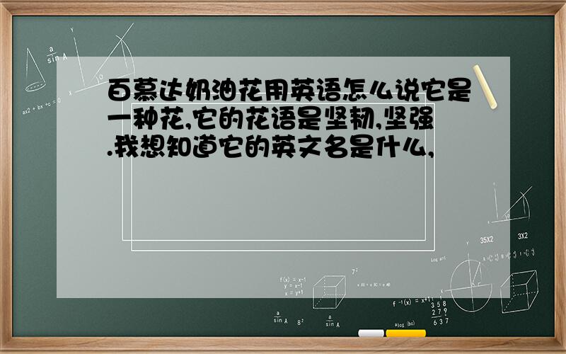 百慕达奶油花用英语怎么说它是一种花,它的花语是坚韧,坚强.我想知道它的英文名是什么,