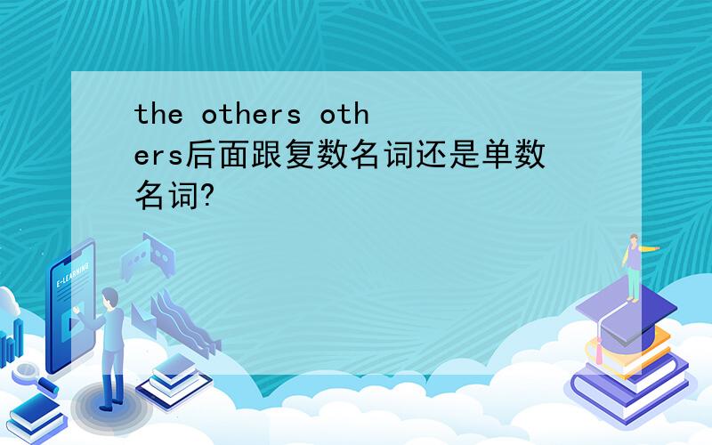 the others others后面跟复数名词还是单数名词?