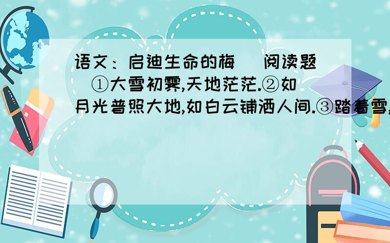 语文：启迪生命的梅 （阅读题）①大雪初霁,天地茫茫.②如月光普照大地,如白云铺洒人间.③踏着雪,我缓缓而来.我已闻到那幽幽的香.是你吗?雾中的仙子,雪中的皇后?是你吗,凌雪傲霜的梅?④