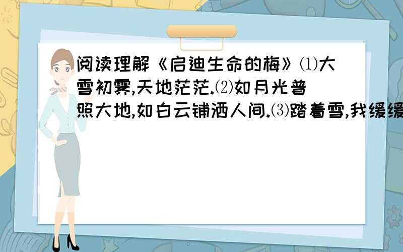 阅读理解《启迪生命的梅》⑴大雪初霁,天地茫茫.⑵如月光普照大地,如白云铺洒人间.⑶踏着雪,我缓缓而来.我已闻到那幽幽的香.是你吗,雾中的仙子,雪中的皇后?是你吗,潜雪傲霜的梅?⑷是的,