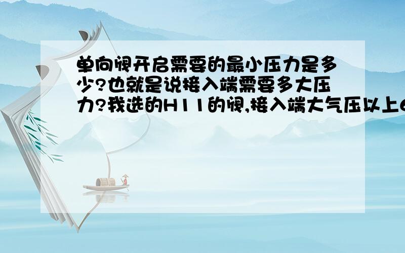 单向阀开启需要的最小压力是多少?也就是说接入端需要多大压力?我选的H11的阀,接入端大气压以上600Pa,不知能不能使用,我选的是1.6MPa的旋塞阀,接入端是氨气,另一端是水