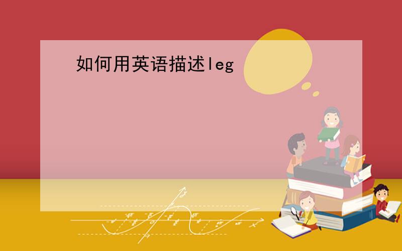 如何用英语描述leg